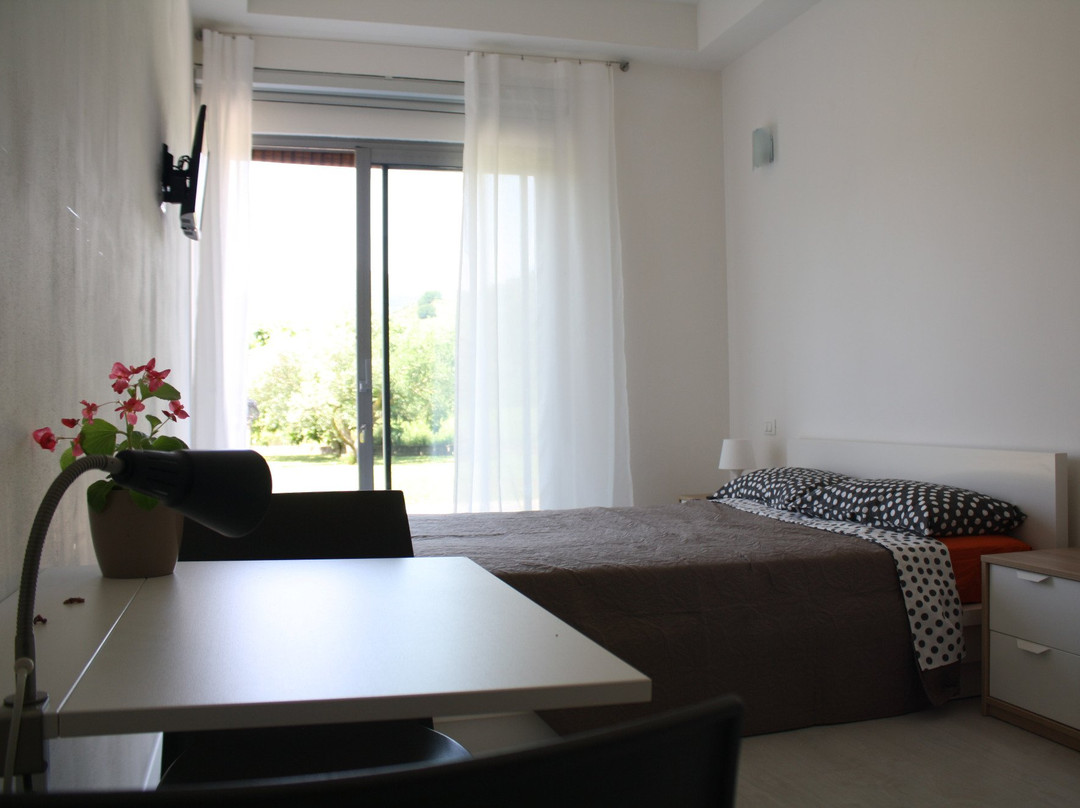 B&B Verde Vivo主图