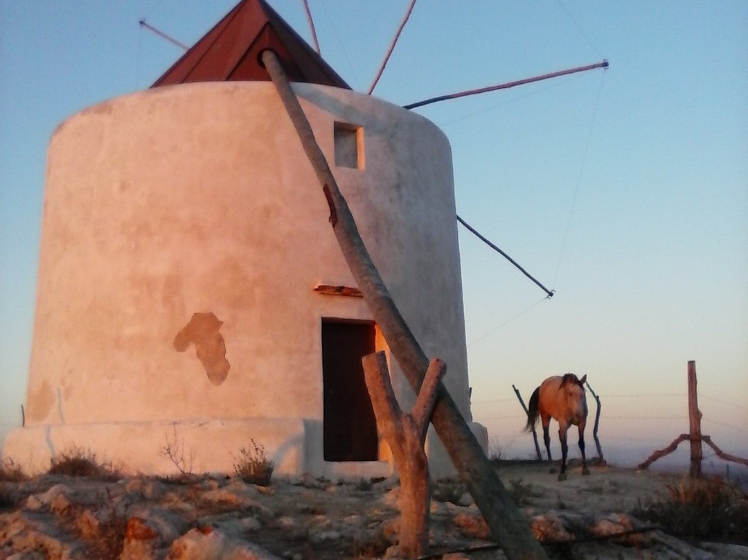 Molinos de Viento景点图片