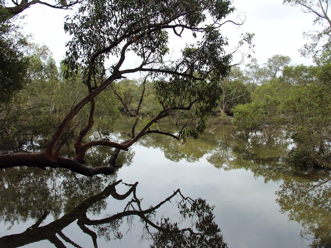 Myora Springs Conservation Area-North Stradbroke Island必去景点