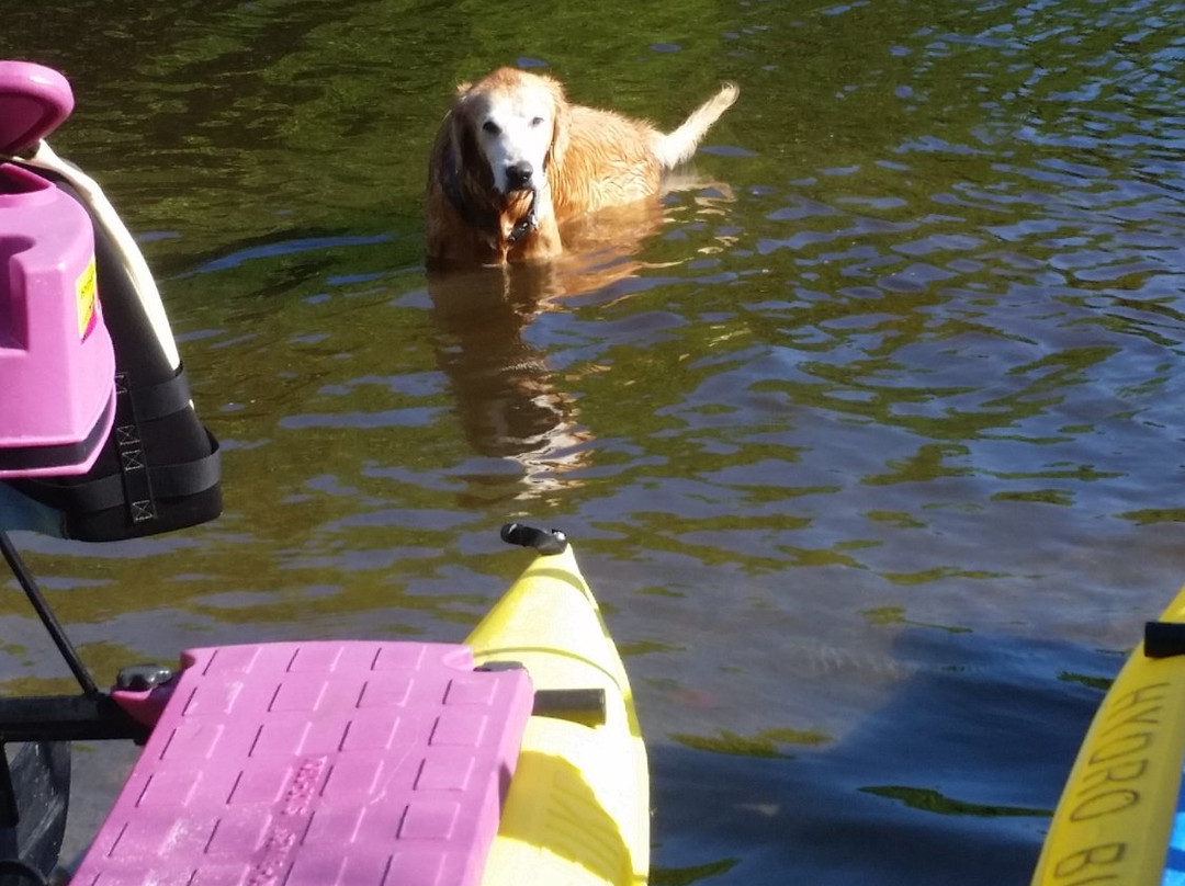 Florida HydroBike-Naples Park必去景点