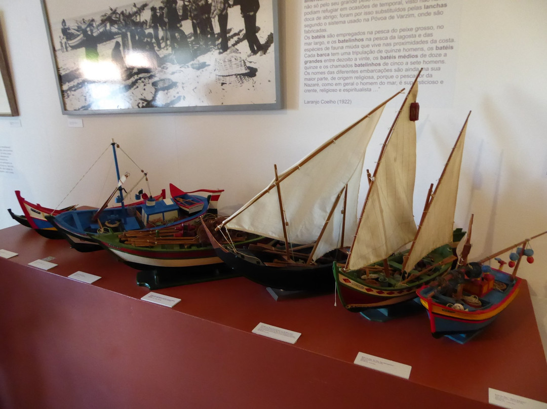Museu Dr. Joaquim Manso景点图片