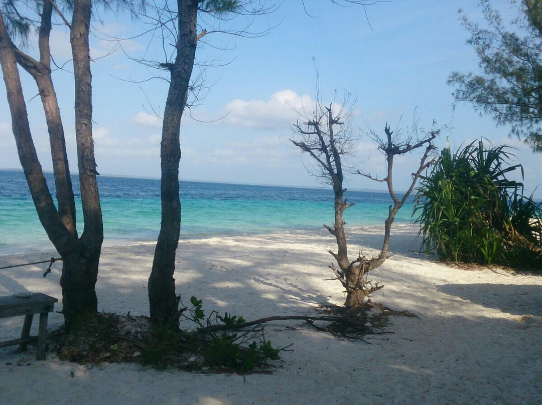 Vumawimbi Beach-奔巴岛必去景点