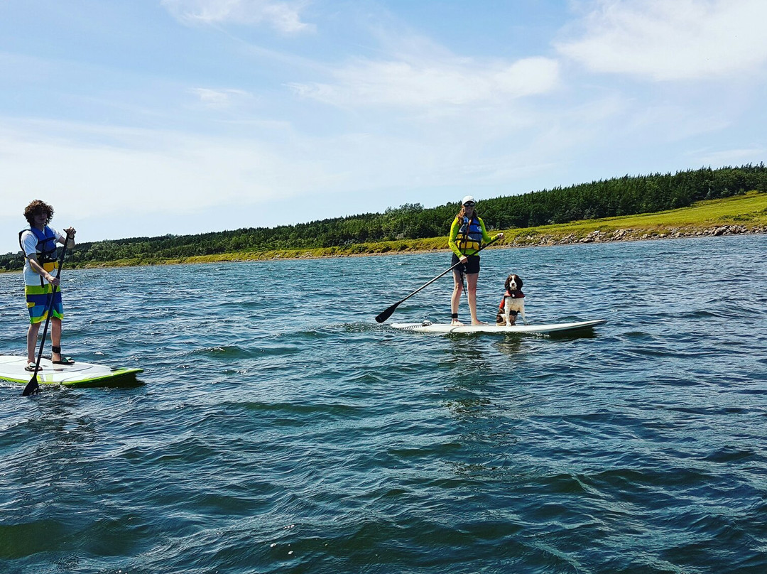CB West Paddle Boards-Cheticamp必去景点