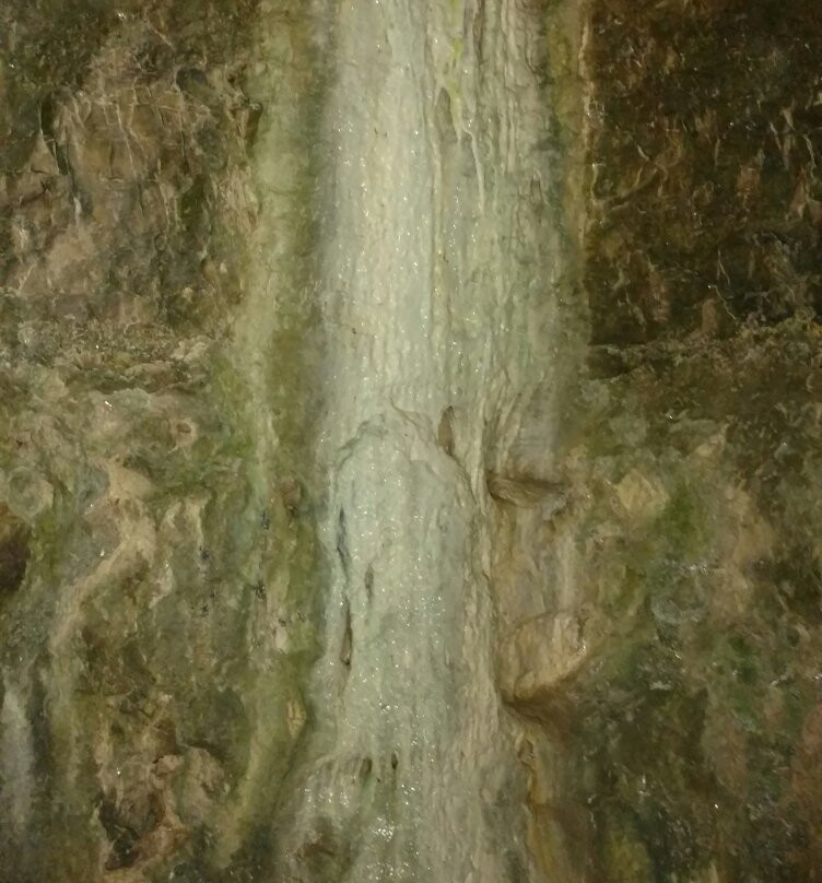 Cave Vineyard-Sainte Genevieve必去景点