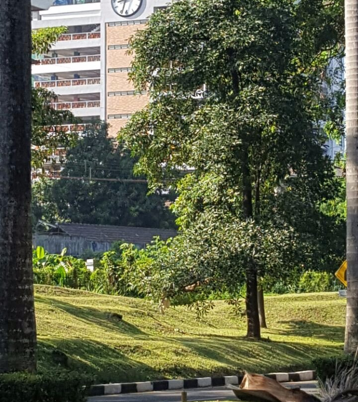 Universitas Indonesia-Depok必去景点