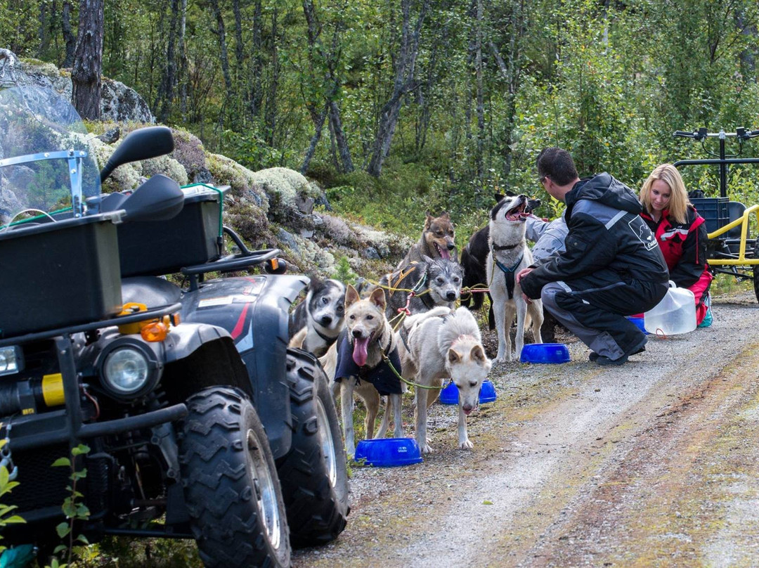 Fagerlund Husky - Dog sledding Geilo景点图片