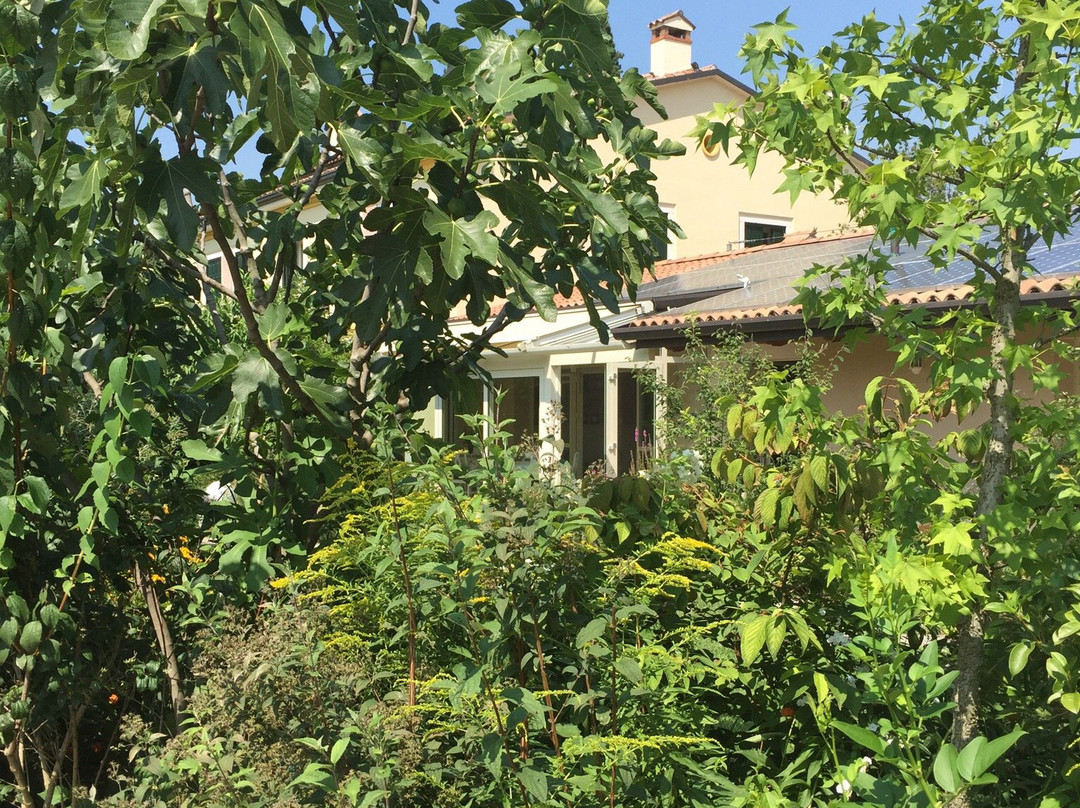 Bocca di Bacco主图