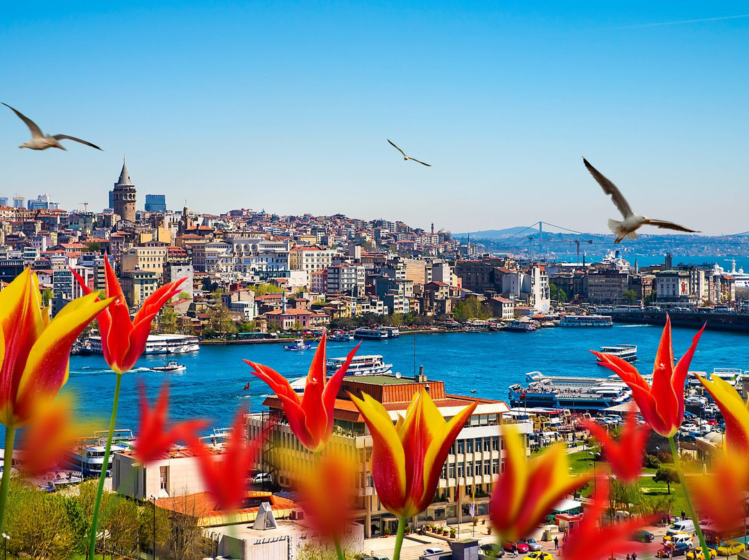Istanbul Popular Travel景点图片