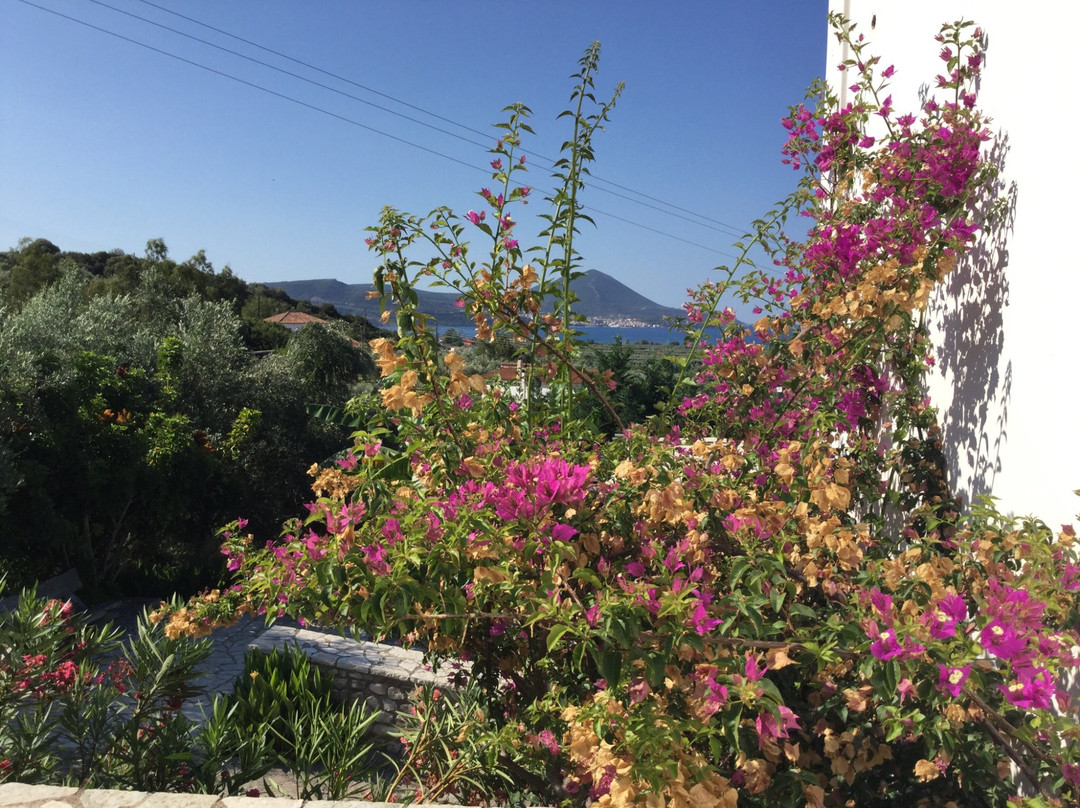 Palaiokastro Villas