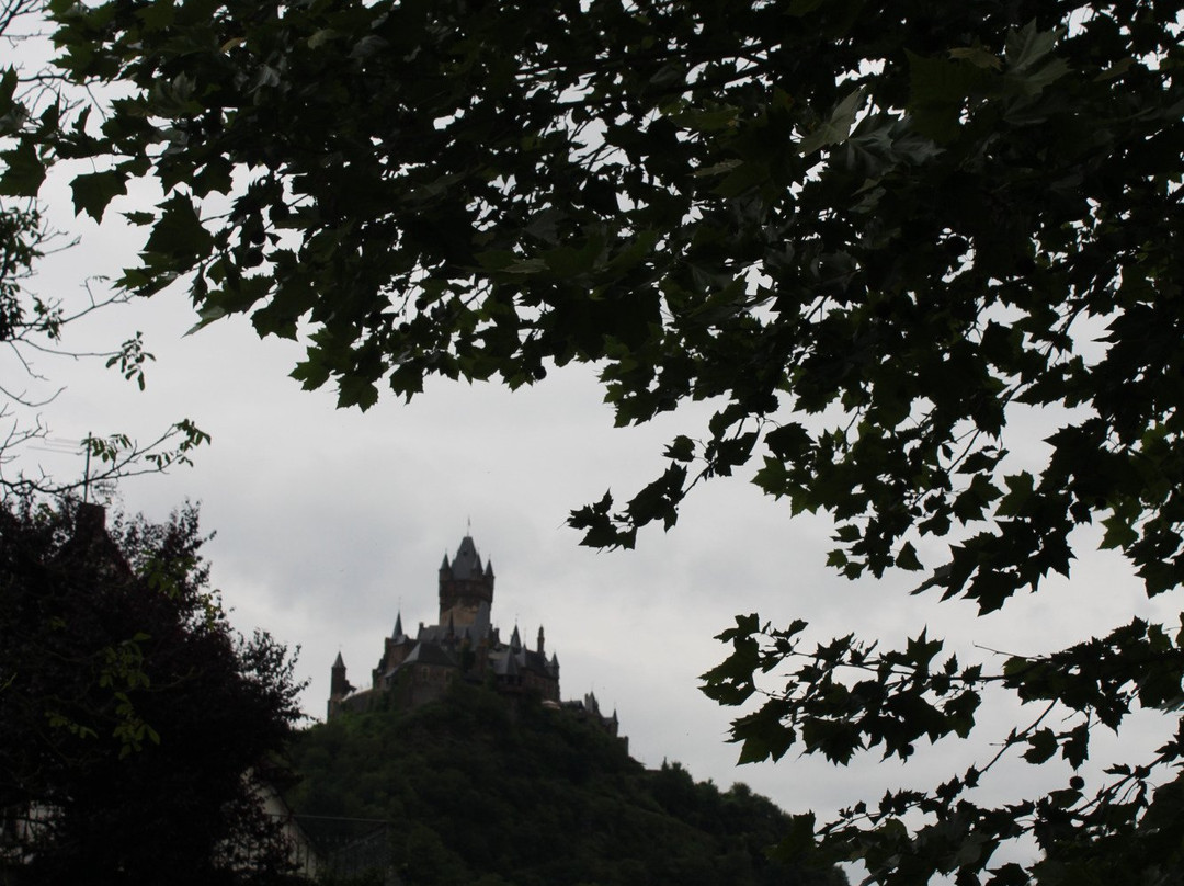 Park Hotel am Schloss主图