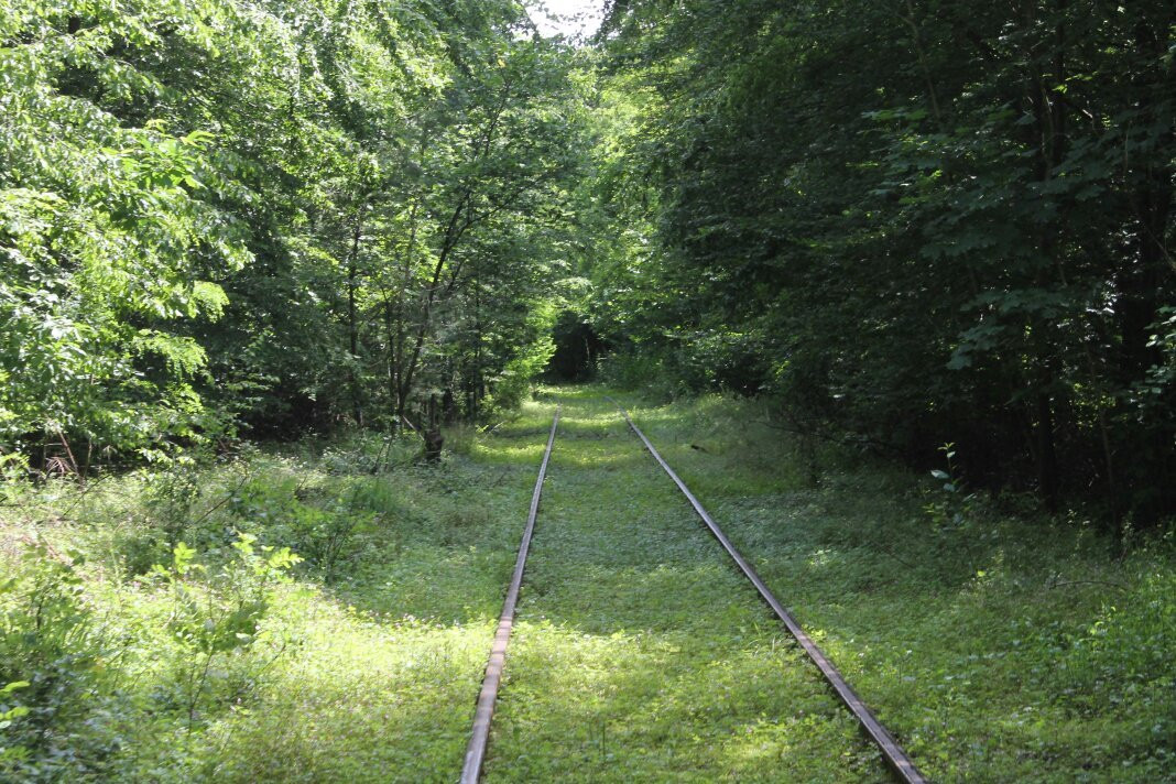 Südpfalz-Draisinenbahn景点图片