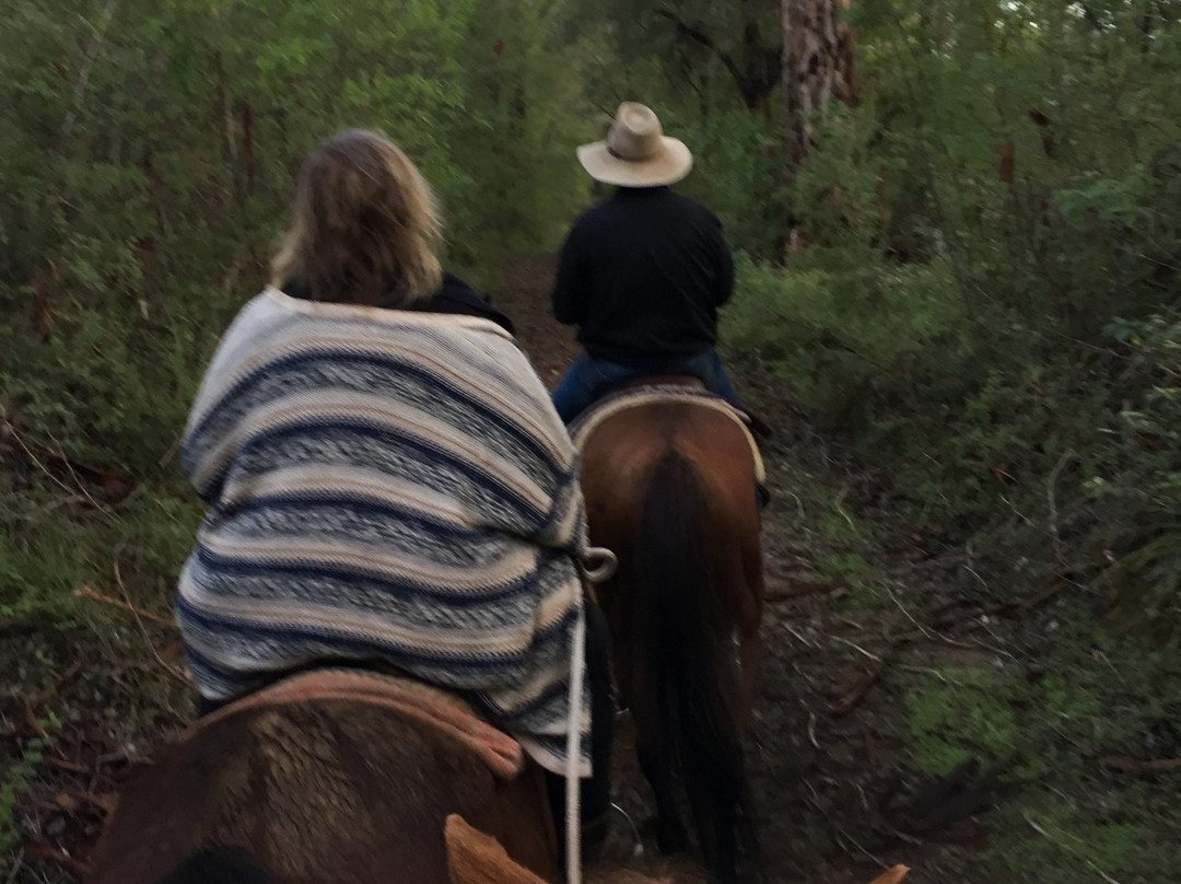 Cowboy Up Trail Rides-彭伯顿必去景点