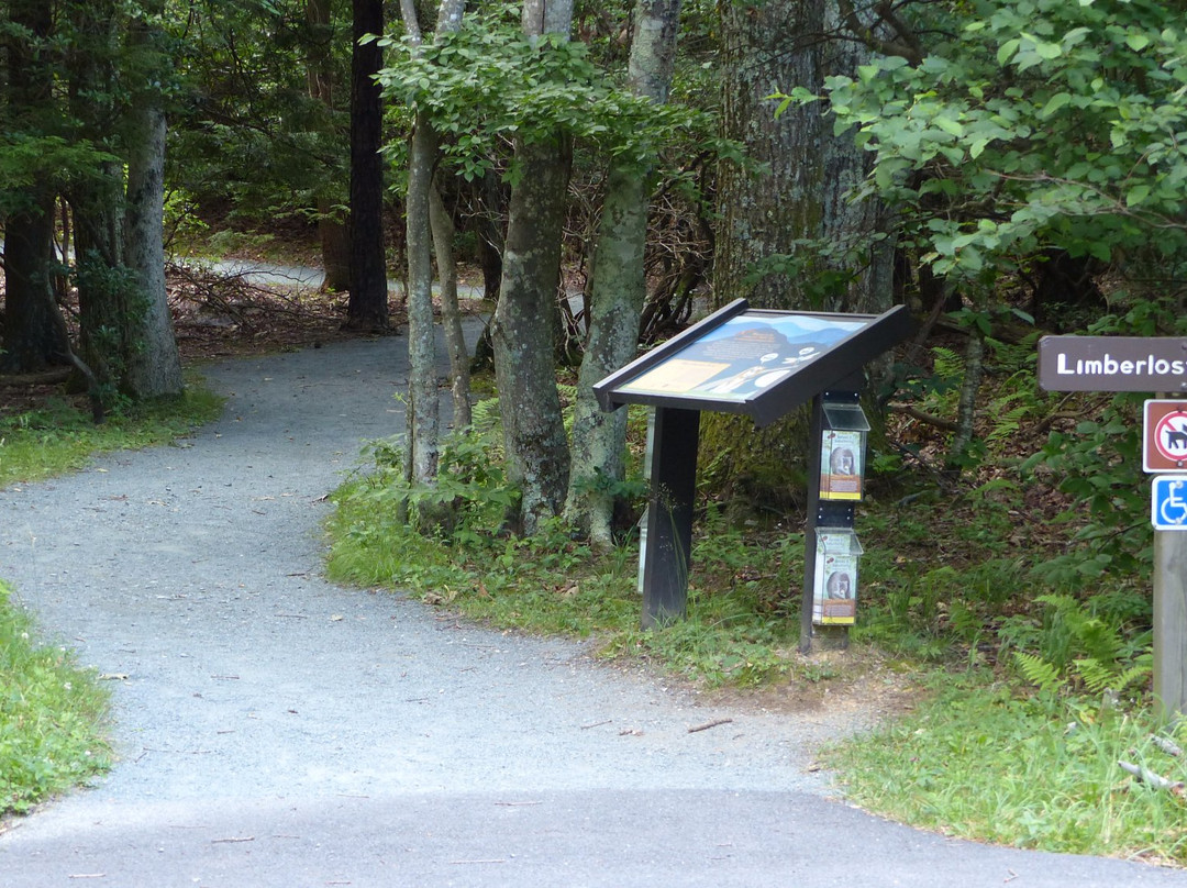 Limberlost Trail-雪兰多国家公园必去景点