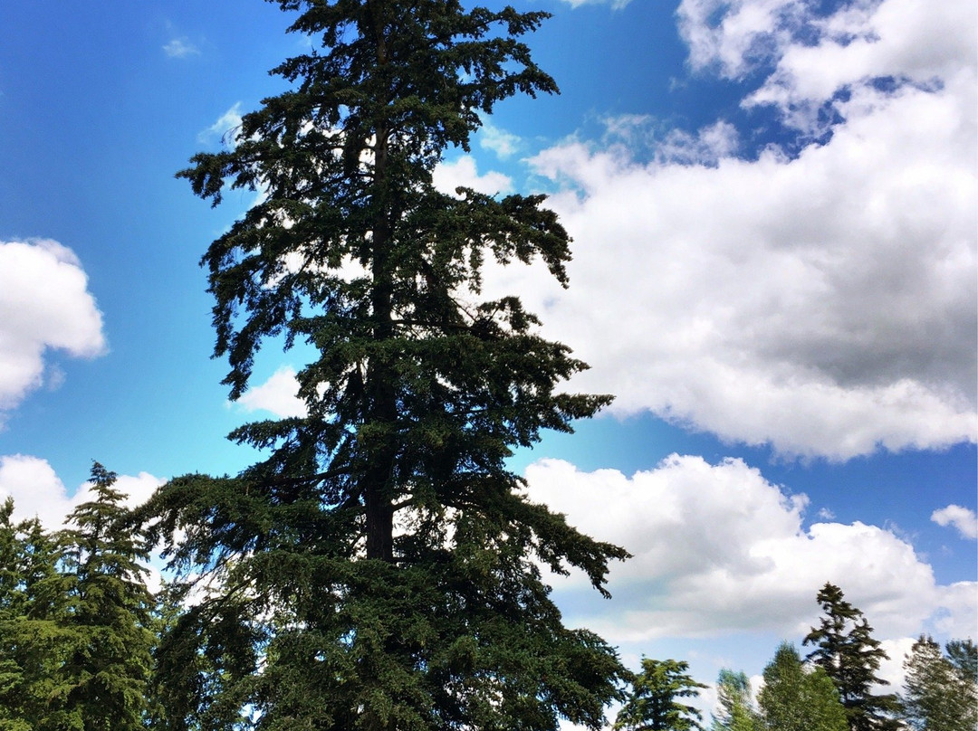 Sammamish River Trail-雷德蒙德必去景点