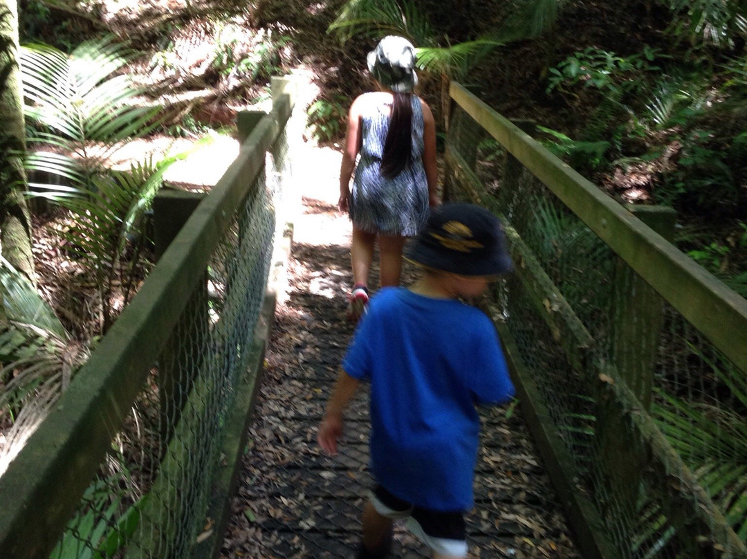 Ratapihipihi Scenic Reserve Walk-新普利默斯必去景点