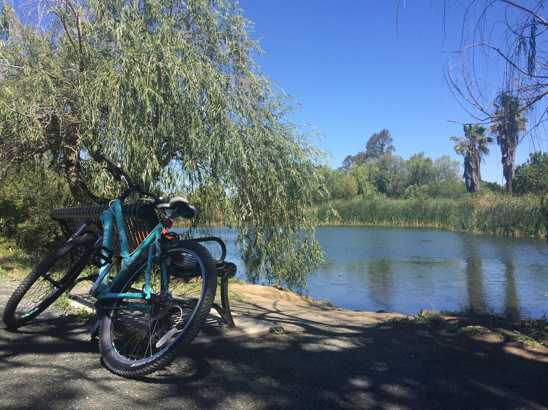 Newhall Community Park-康科德必去景点
