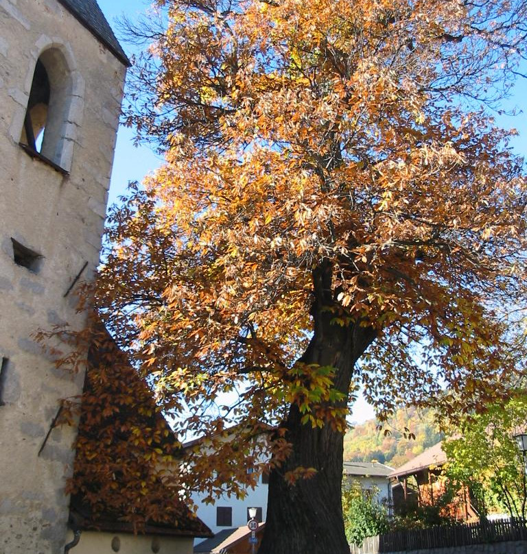 Church of St. Laurentiuskirche-Velturno必去景点
