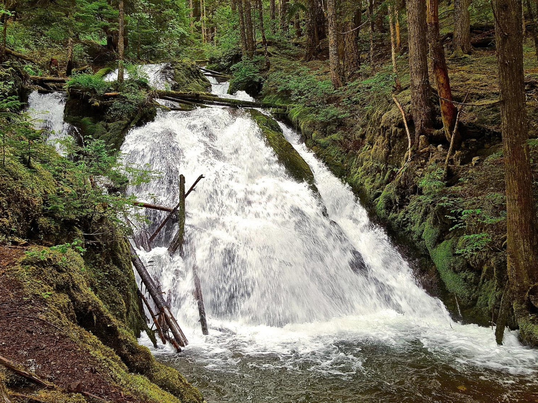 Little Zigzag Falls-Government Camp必去景点