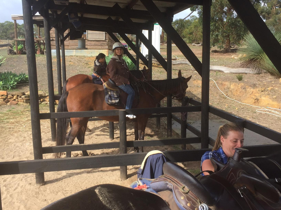 Tiger Trails-袋鼠岛必去景点