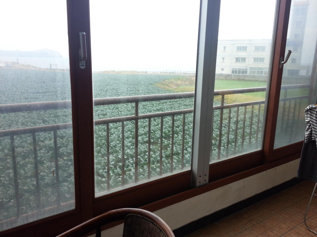 Longisland Guesthouse主图