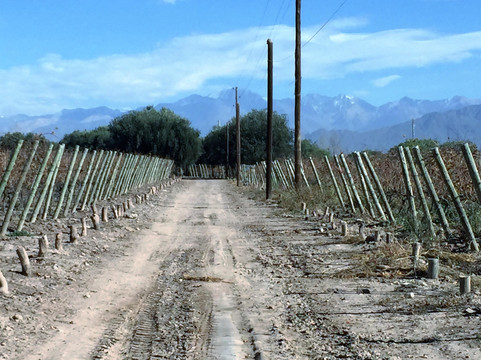 La Añorada Bodega y Viñedos-Cruz de Piedra必去景点