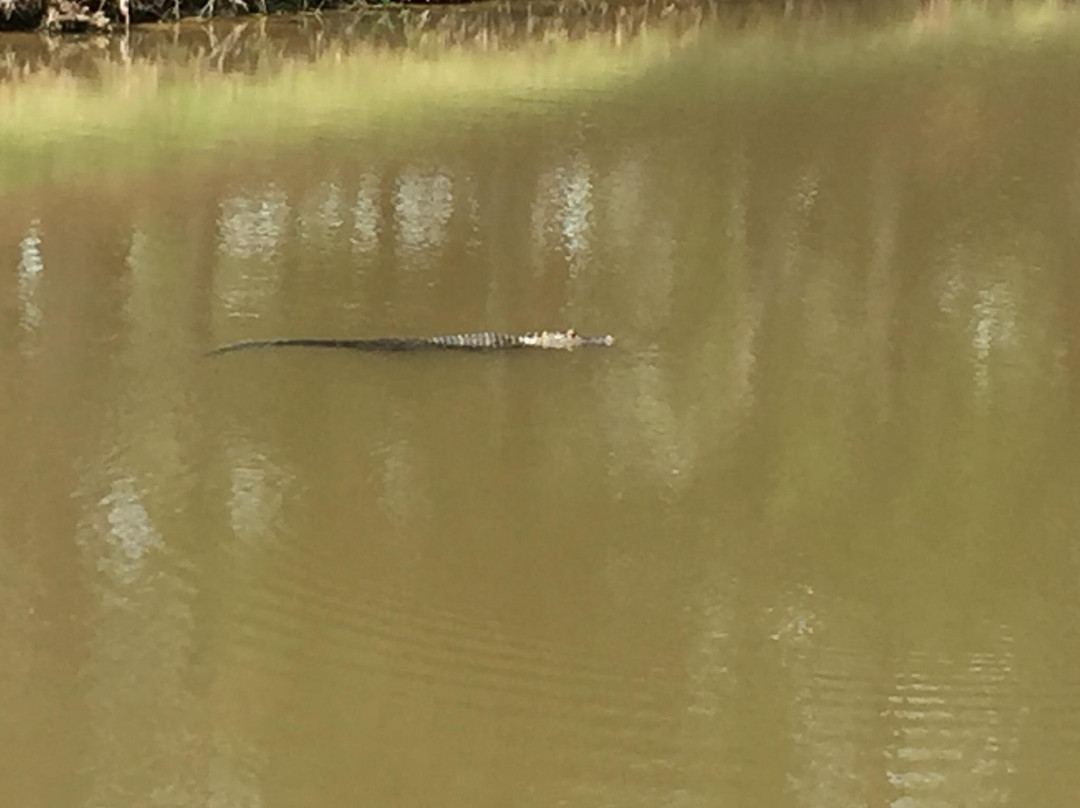 Golf Club At Fleming Island-橙园必去景点