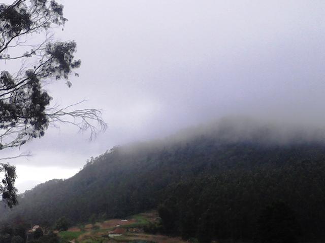 J R Mist Valley-官方