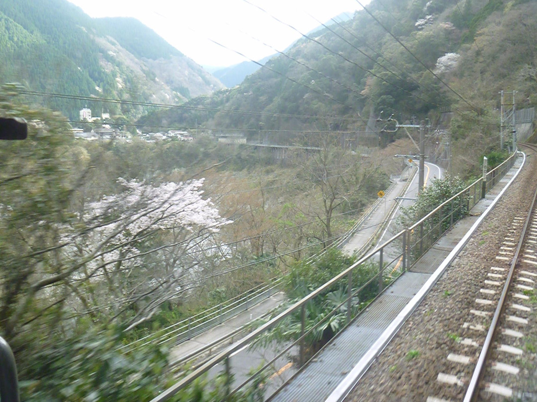Kobokekyo Canyon-三好市必去景点