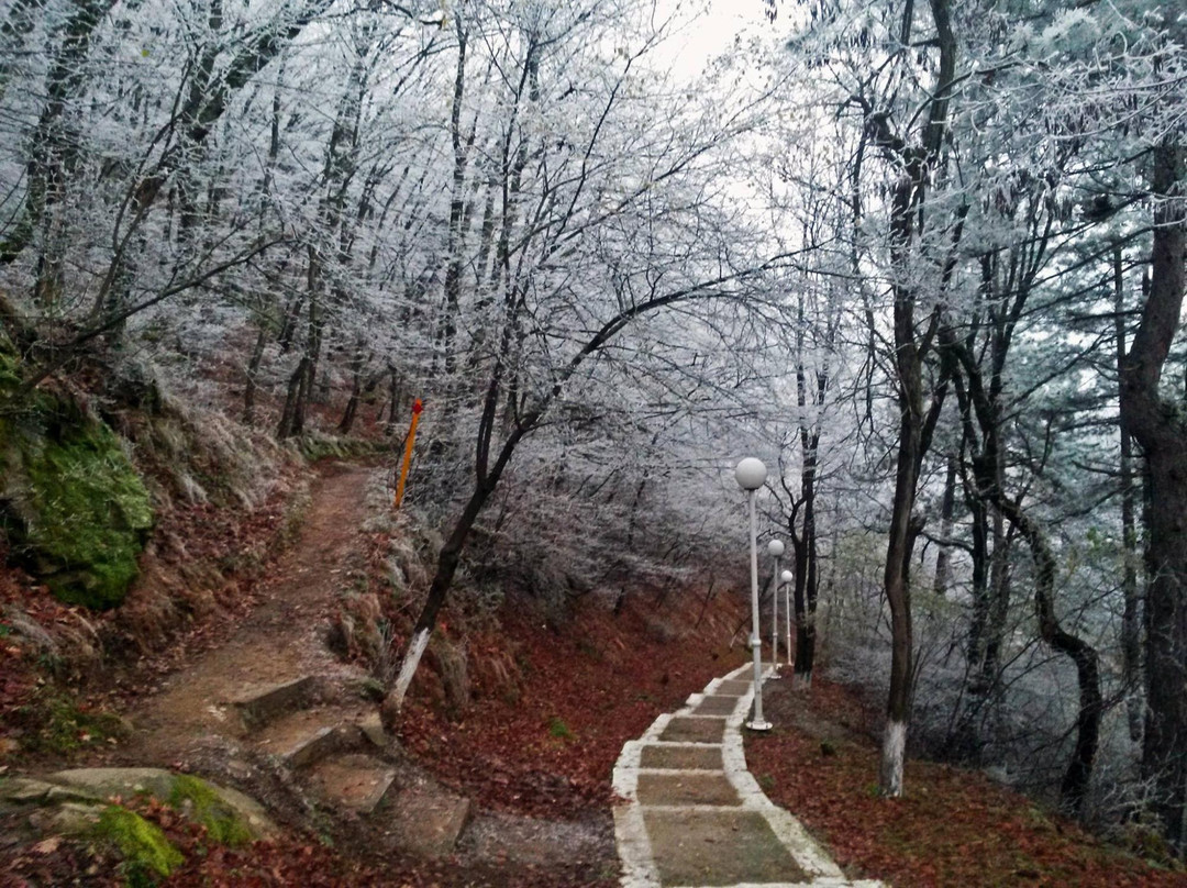 Hill of St. Panteleimon Hill景点图片