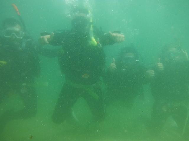 Pro Dive-悉尼必去景点