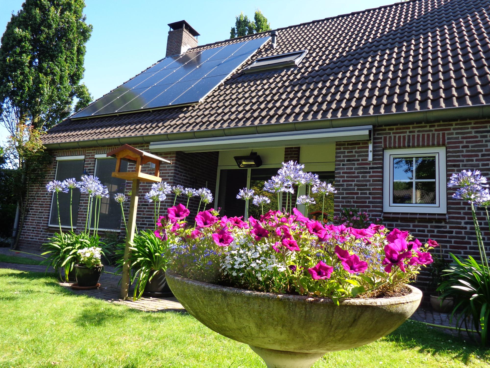 B&B Tussen Broek en Duin-酒店景观