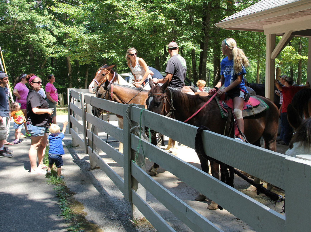 Lake Cumberland-Russell Springs必去景点