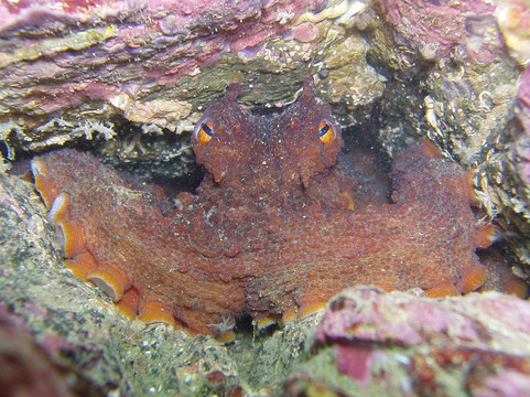 Splash Hong Kong-香港必去景点