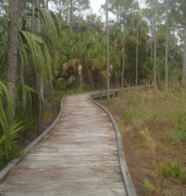 Withlacoochee Gulf Preserve-Yankeetown必去景点