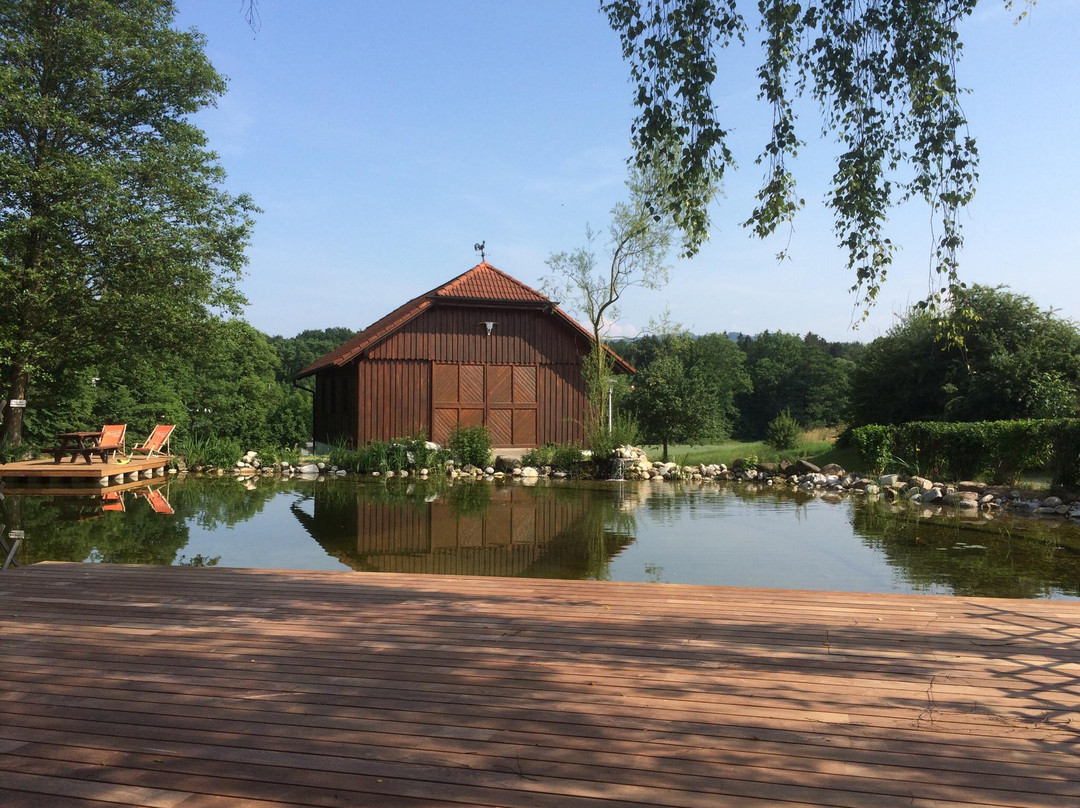 Neuhofen an der Ybbs酒店住宿-Perbersdorfer Heuriger