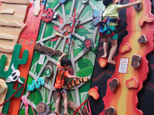 Extreme Edge Rock Climbing-汉密尔顿必去景点