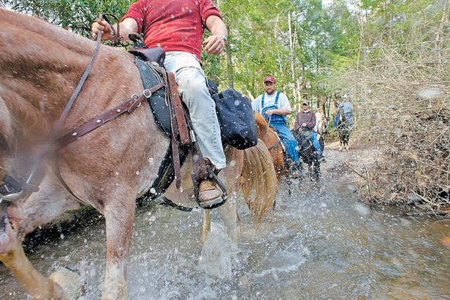 Timber Ridge Horse Campground