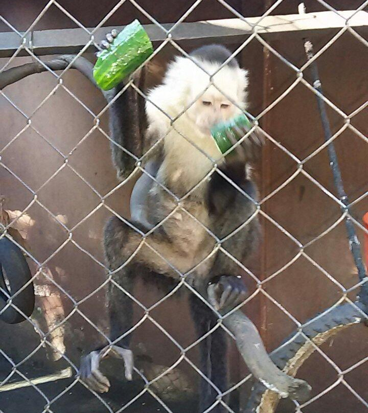 LAR Transportes-萨迪纳尔必去景点