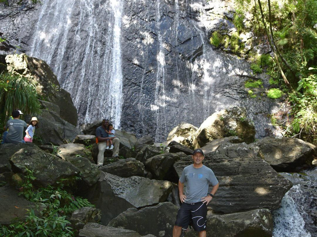 The Mine Trail (La Mina)-云盖国家森林公园必去景点