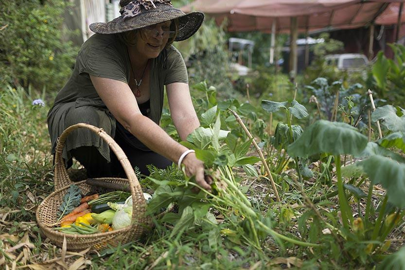 Djanbung Gardens景点图片