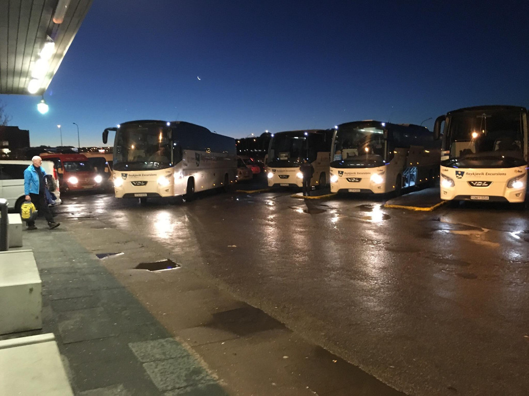 Flybus Airport Transfer景点图片