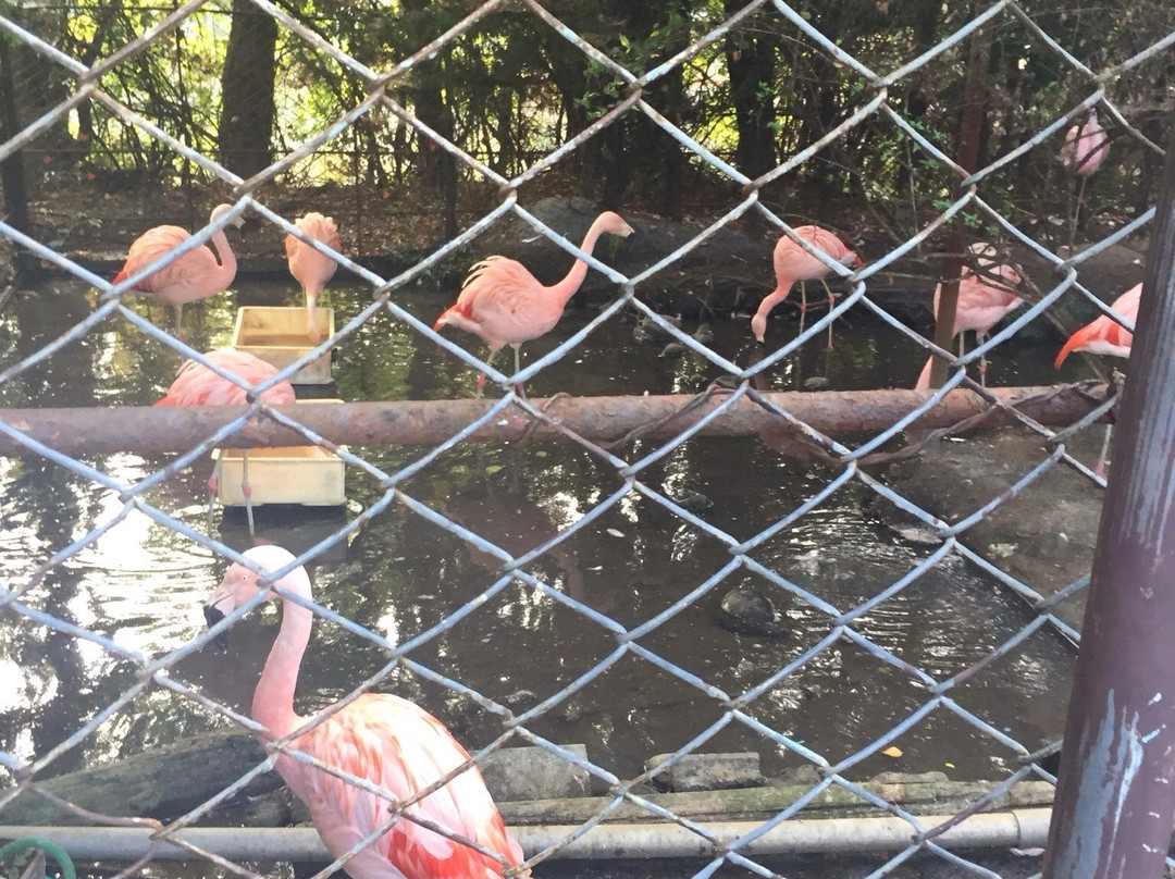 Kofu City Yuki Park Zoo景点图片