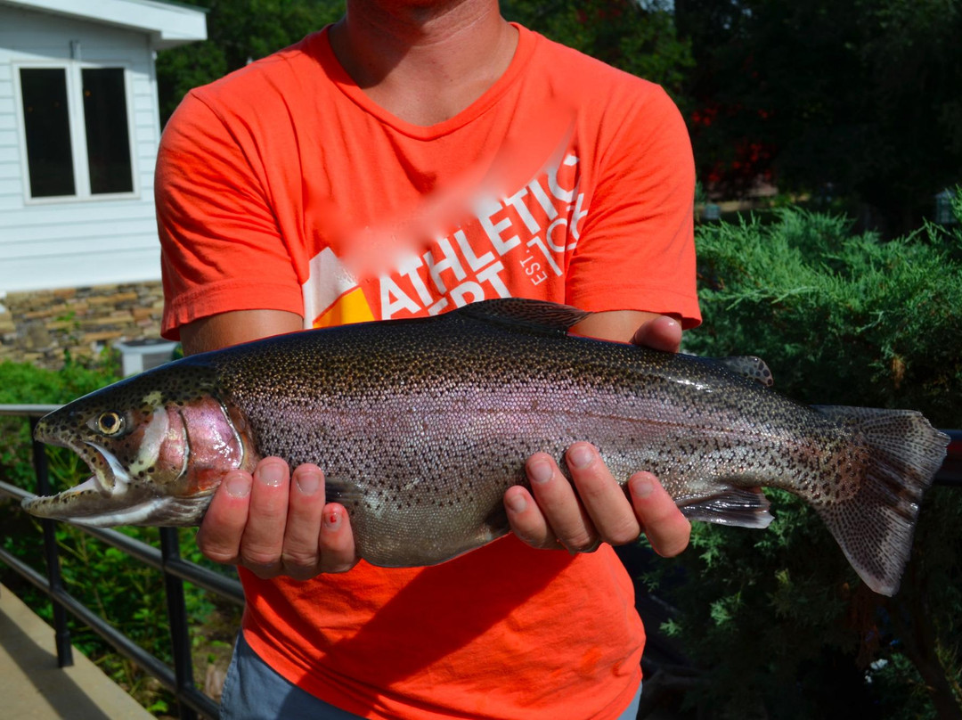 Rockbridge Mill-Rockbridge必去景点