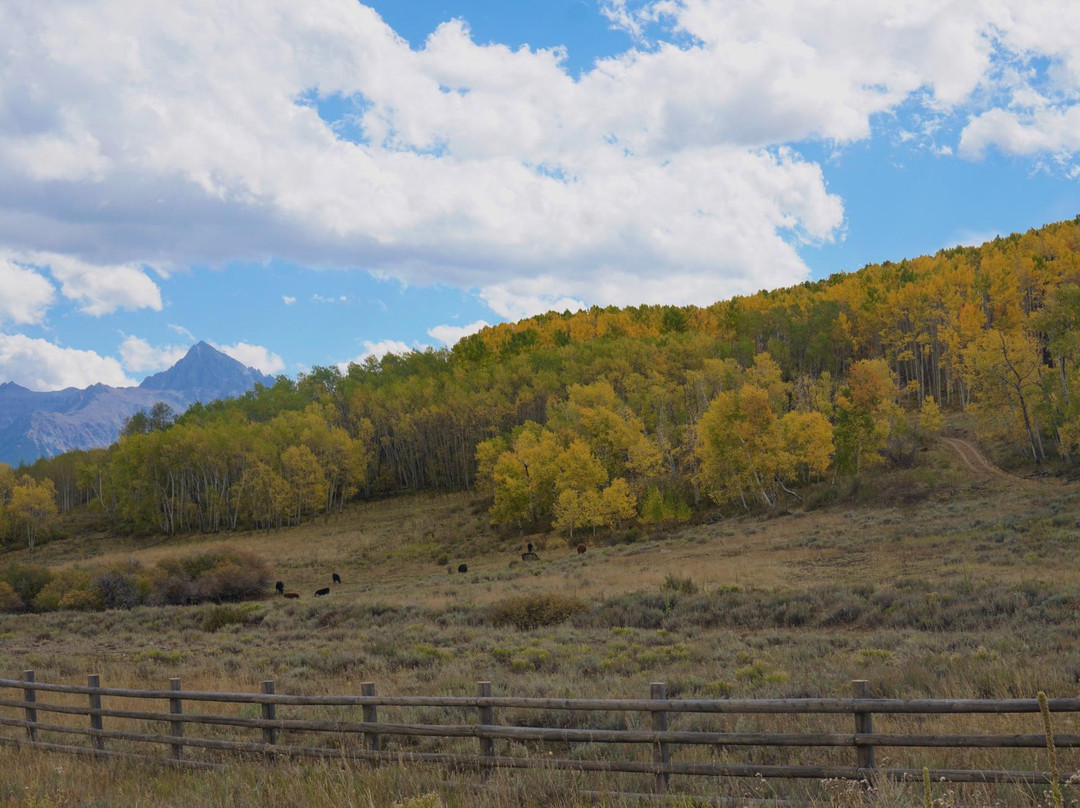 Dolores River Canyon-科尔特斯必去景点