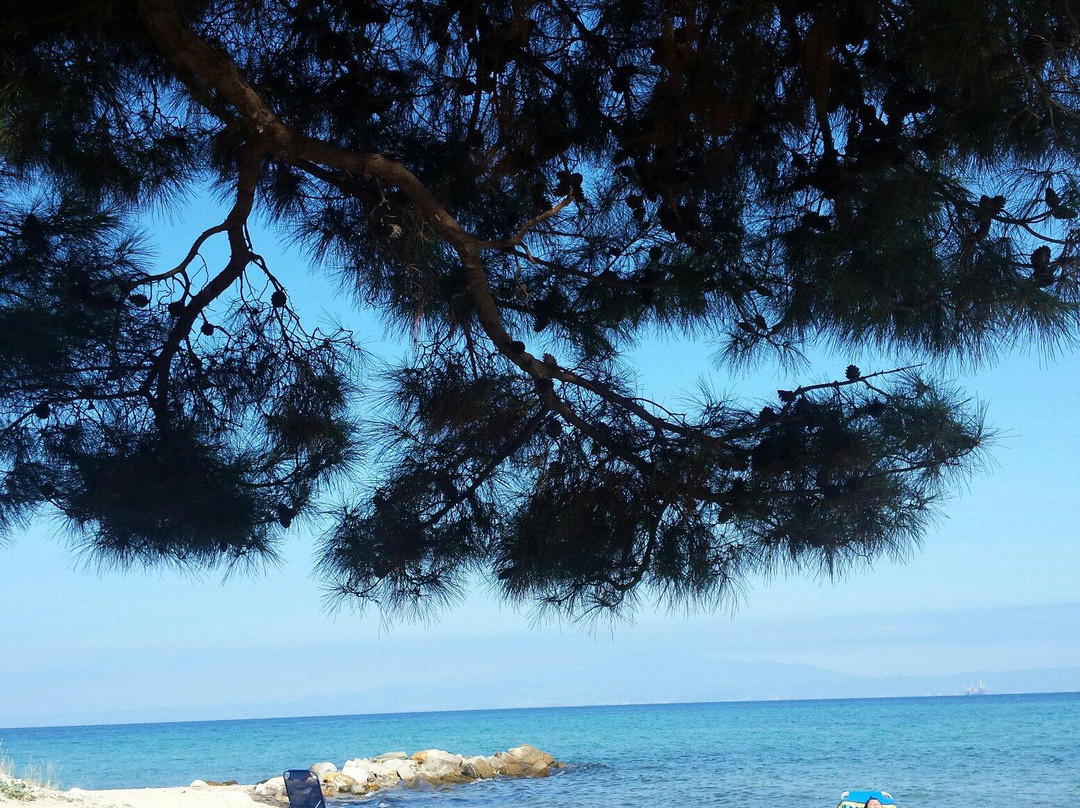 Skala Prinou Beach-Skala Prinou必去景点