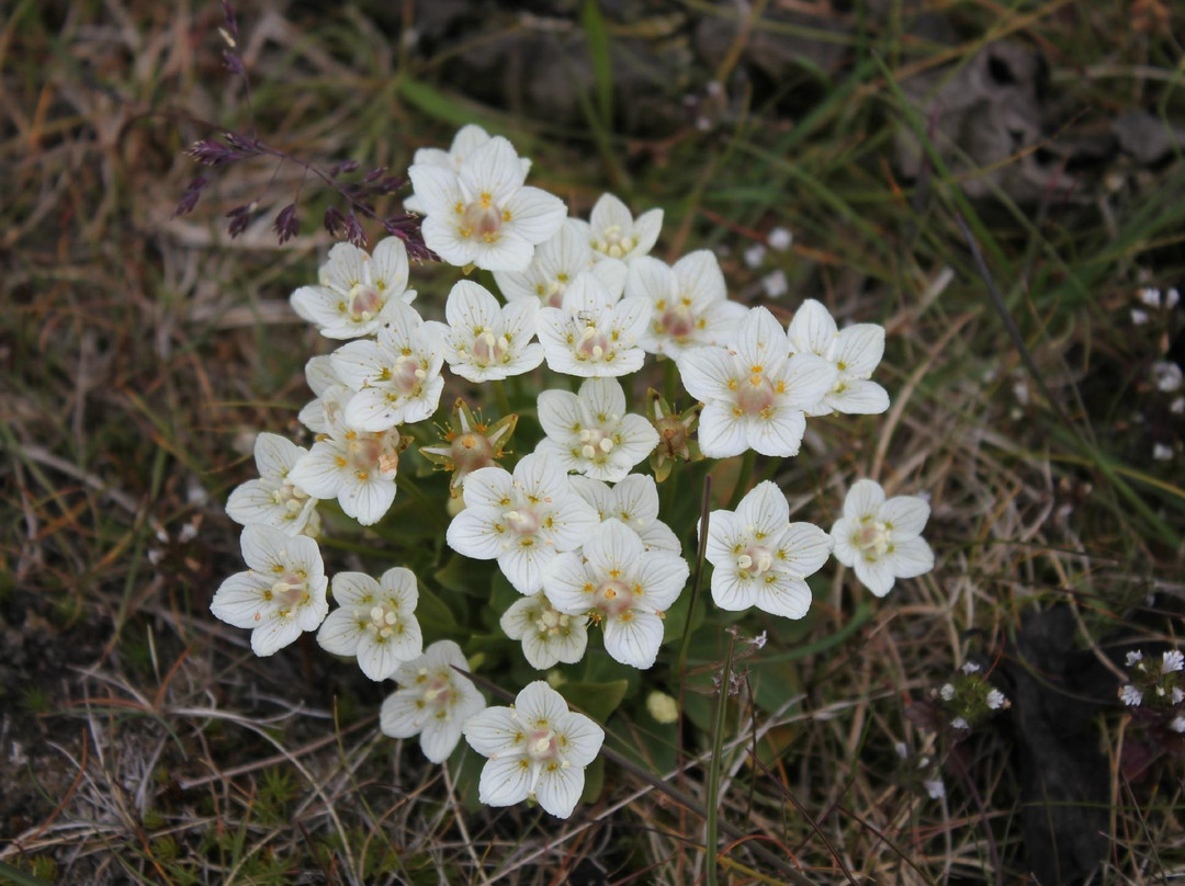 The Búlandsnes-Djupivogur必去景点