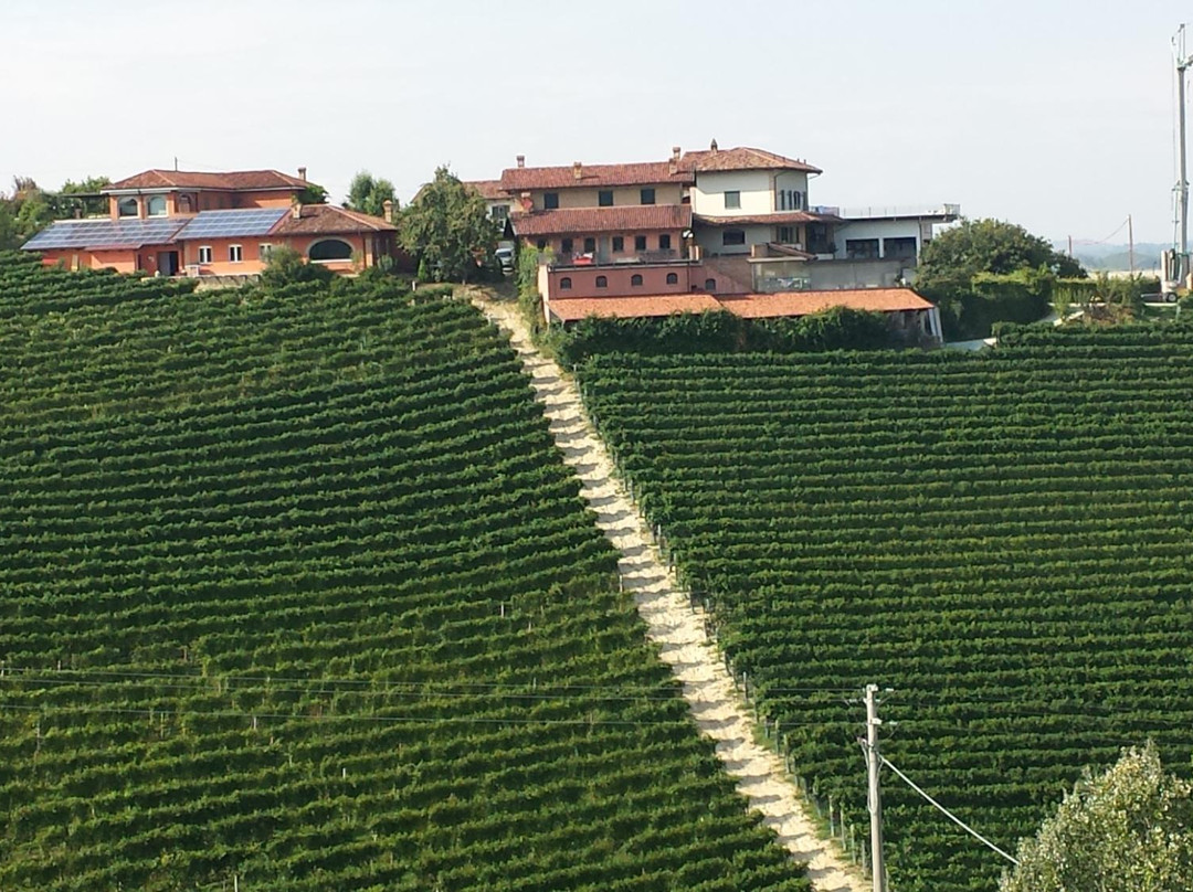 Azienda Agricola Elio Altare-拉莫拉必去景点