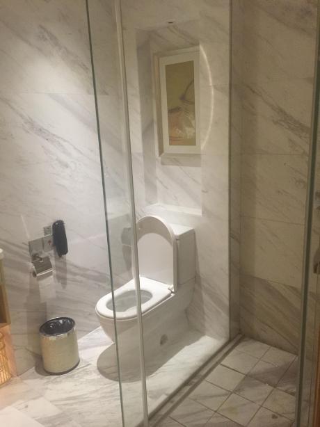 绍兴天马大酒店-客卧