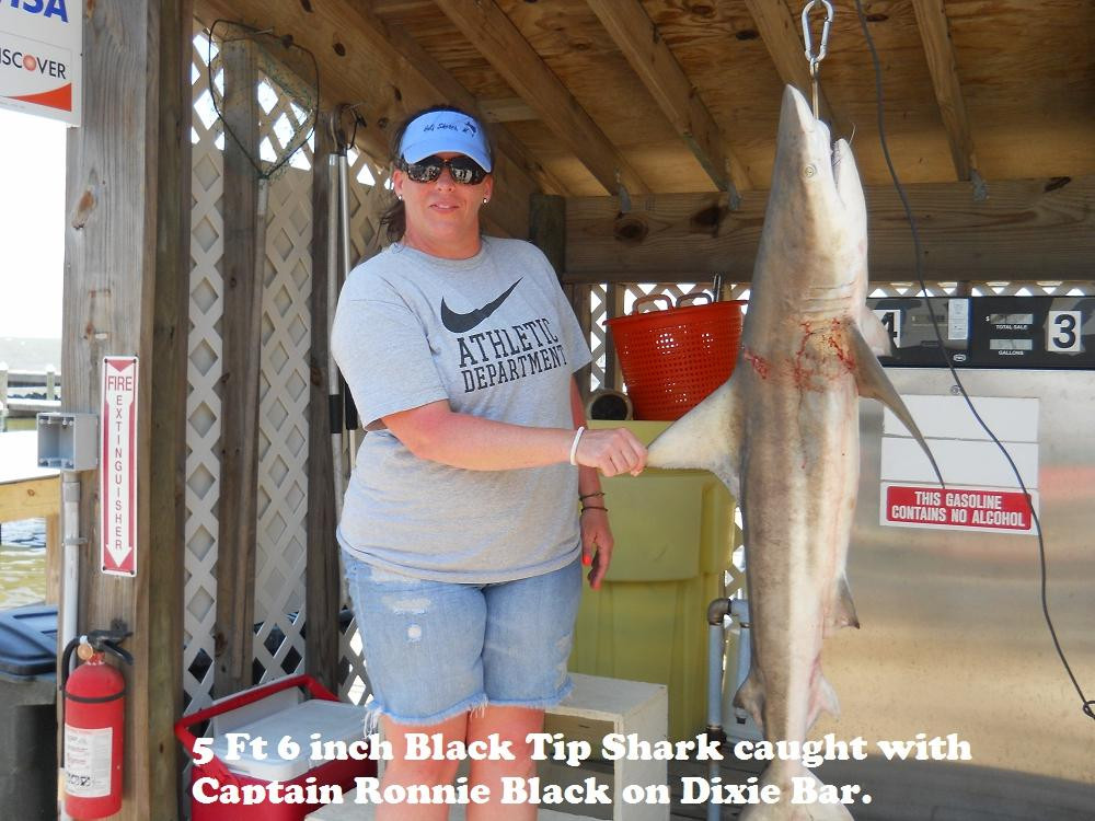 Reel Attraction Charters-格尔夫海岸必去景点