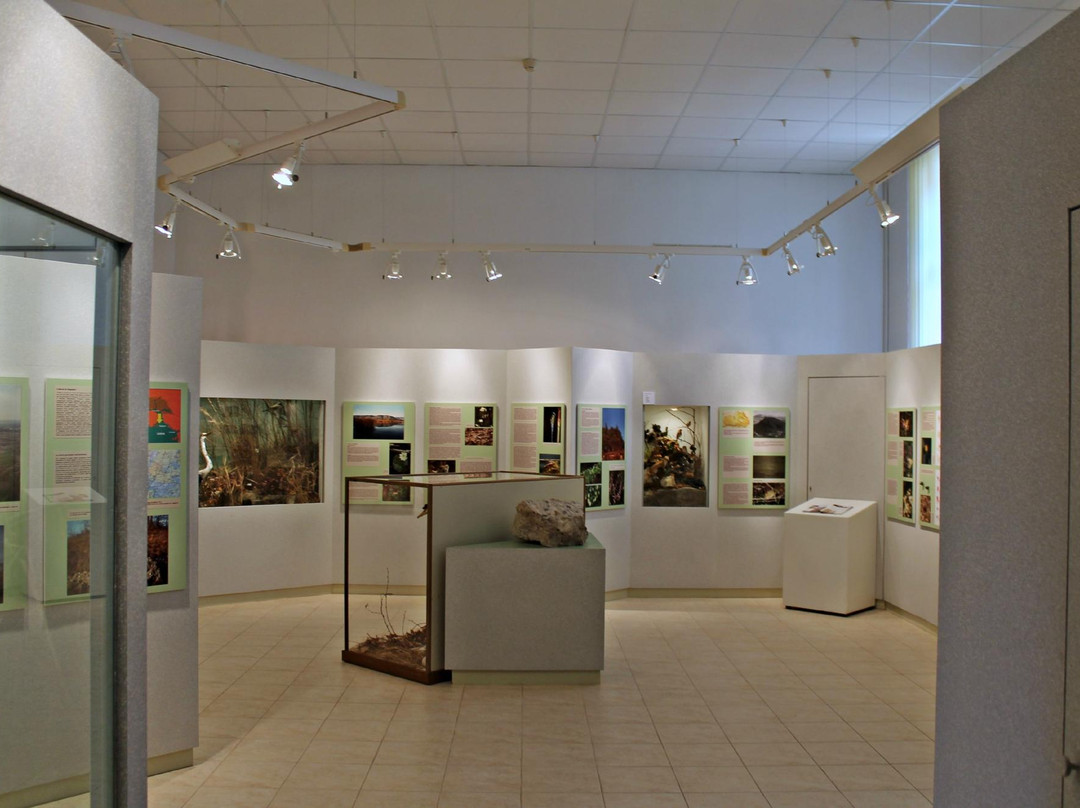 Museo Civico Antonio Cerutti景点图片